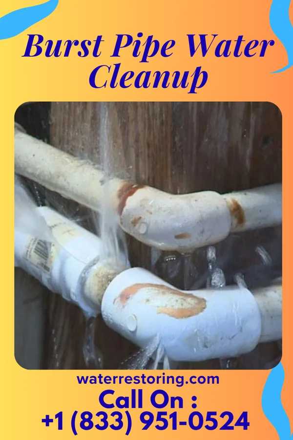 Burst Pipe Water Cleanup in Poplar Bluff, MO