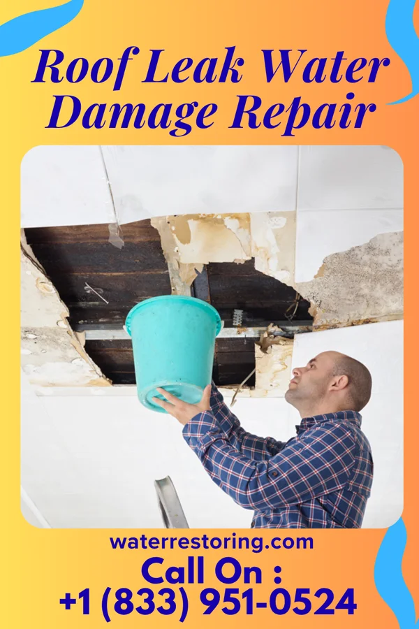 Roof Leak Water Damage Repair in Poplar Bluff, MO